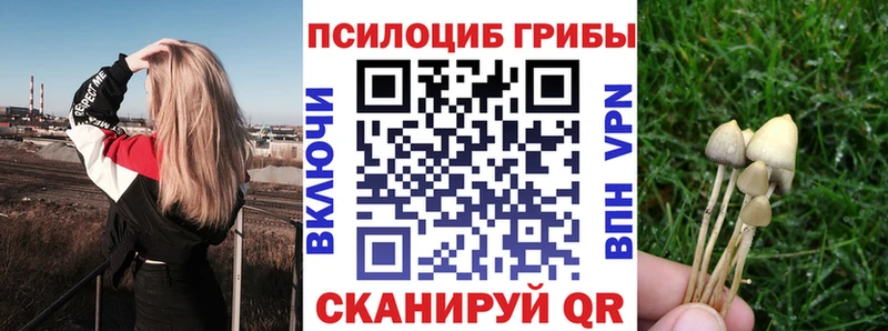 площадка как зайти  ссылка на мегу зеркало  Суджа  Псилоцибиновые грибы Psilocybe 